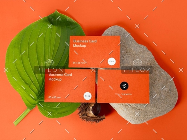 demo-attachment-33-5q71up9s