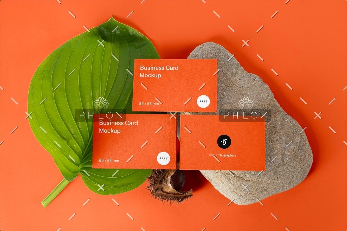 demo-attachment-33-5q71up9s